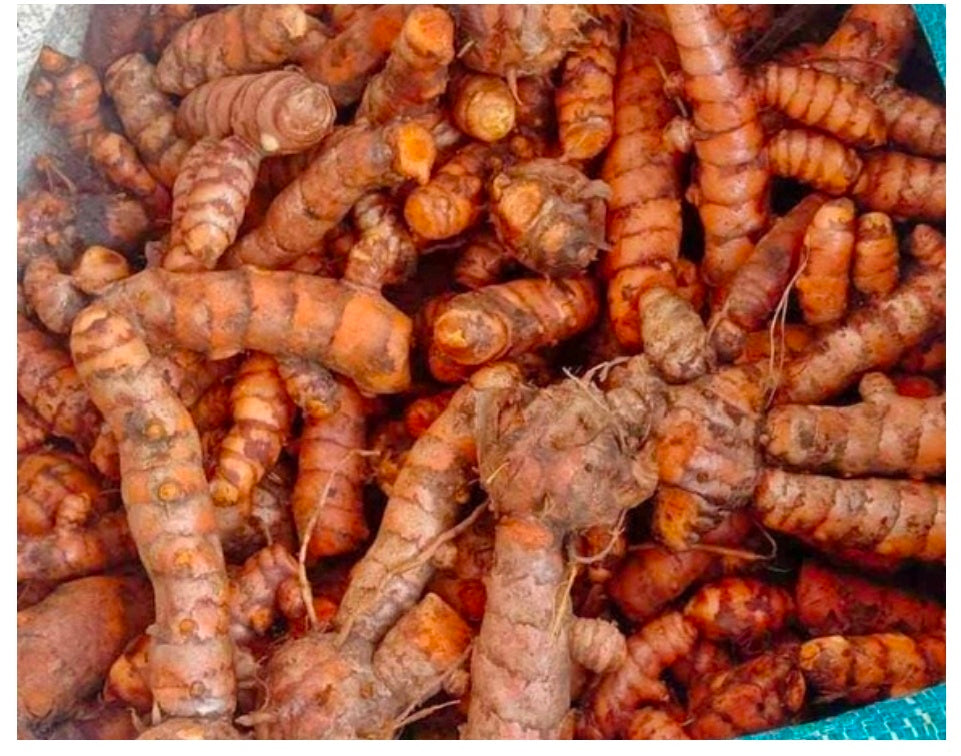 TURMERIC